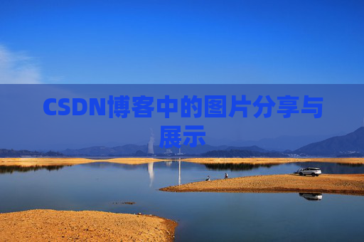 CSDN博客中的图片分享与展示
